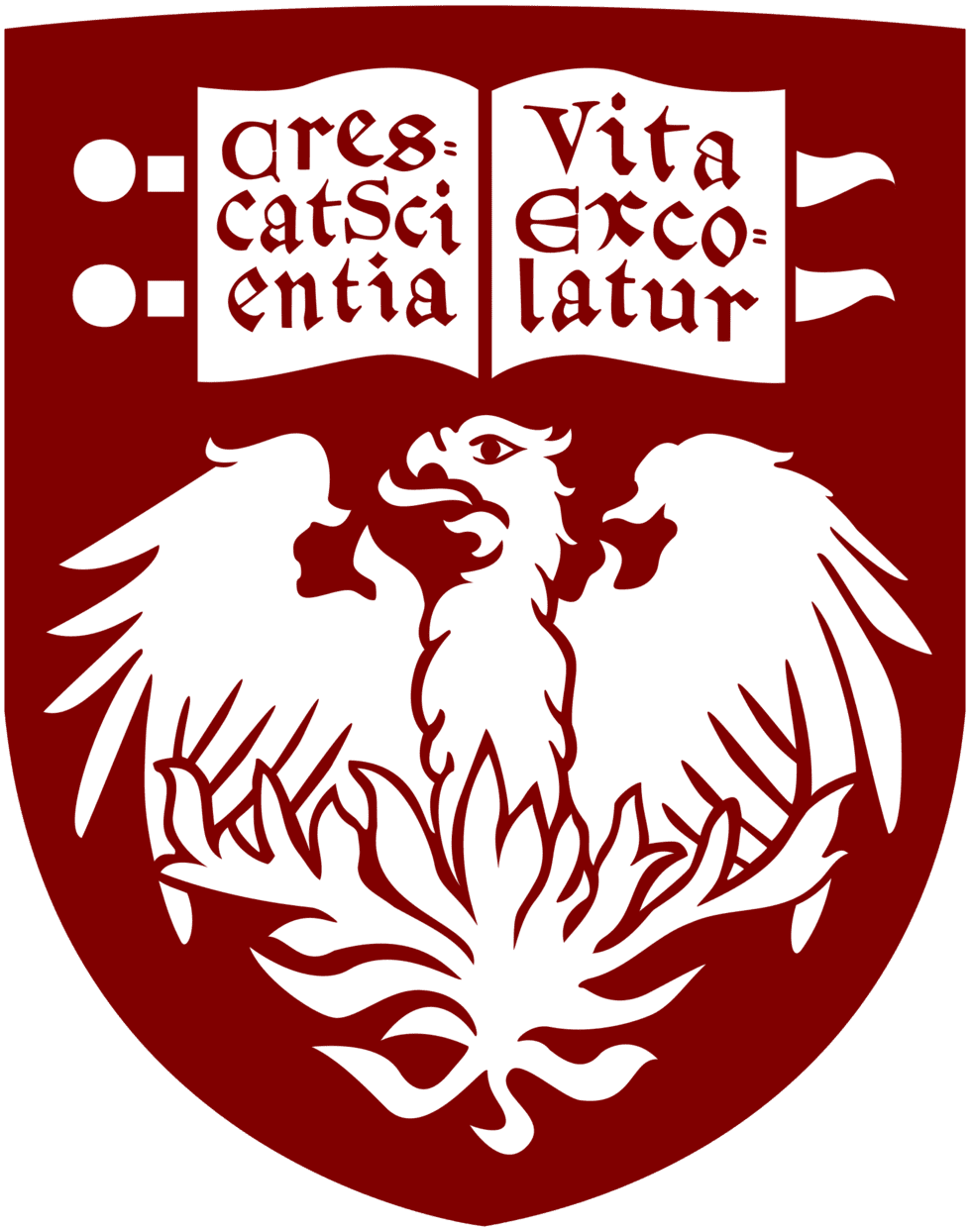 Logo University of Chicago